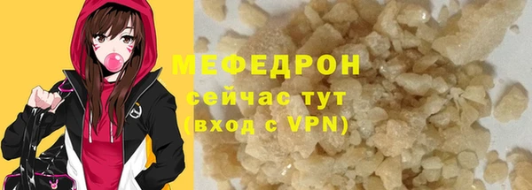 индика Богородицк