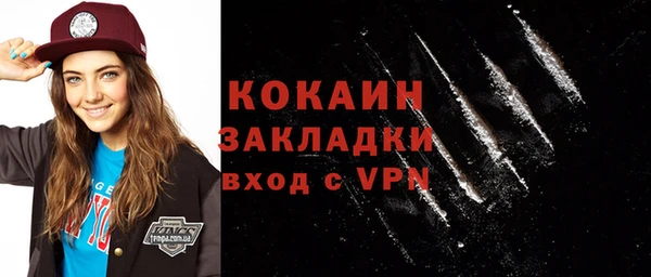 индика Богородицк