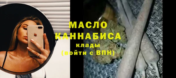индика Богородицк