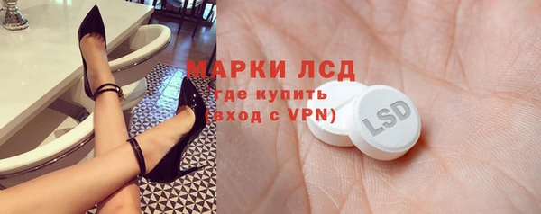 индика Богородицк