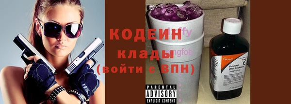 индика Богородицк
