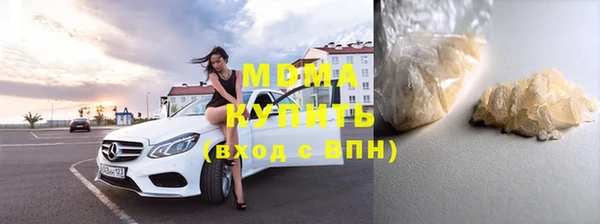 индика Богородицк