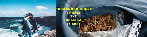 индика Богородицк