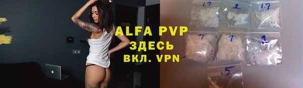 индика Богородицк