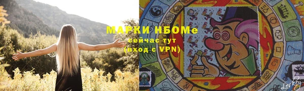 индика Богородицк