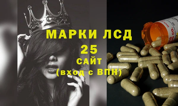 индика Богородицк