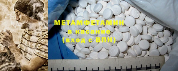 индика Богородицк