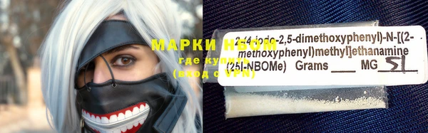 индика Богородицк