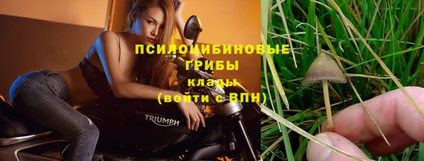 индика Богородицк